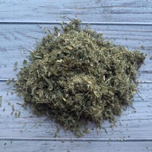 Суниця лісова трава