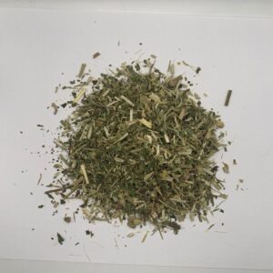 ехінацея трава